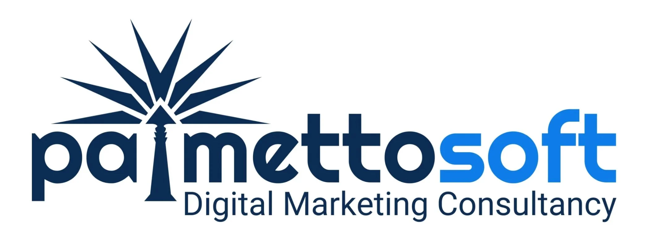 PalmettoSoft Logo New